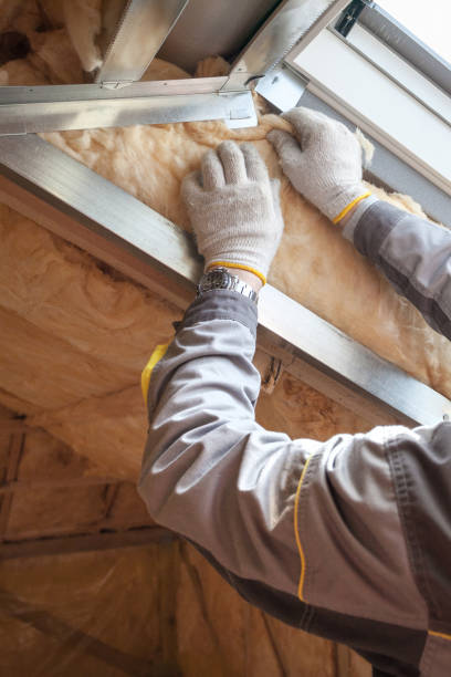 Insulation Inspection Services in Campbelltown, PA